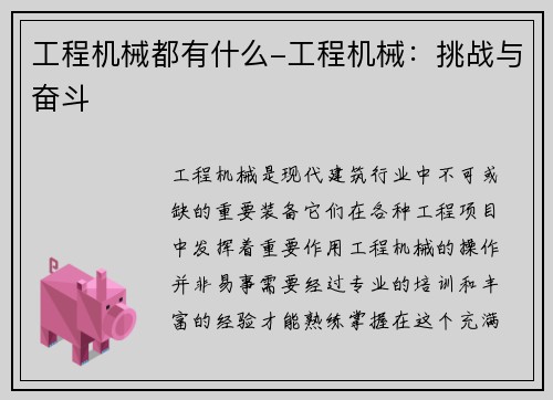 工程机械都有什么-工程机械：挑战与奋斗